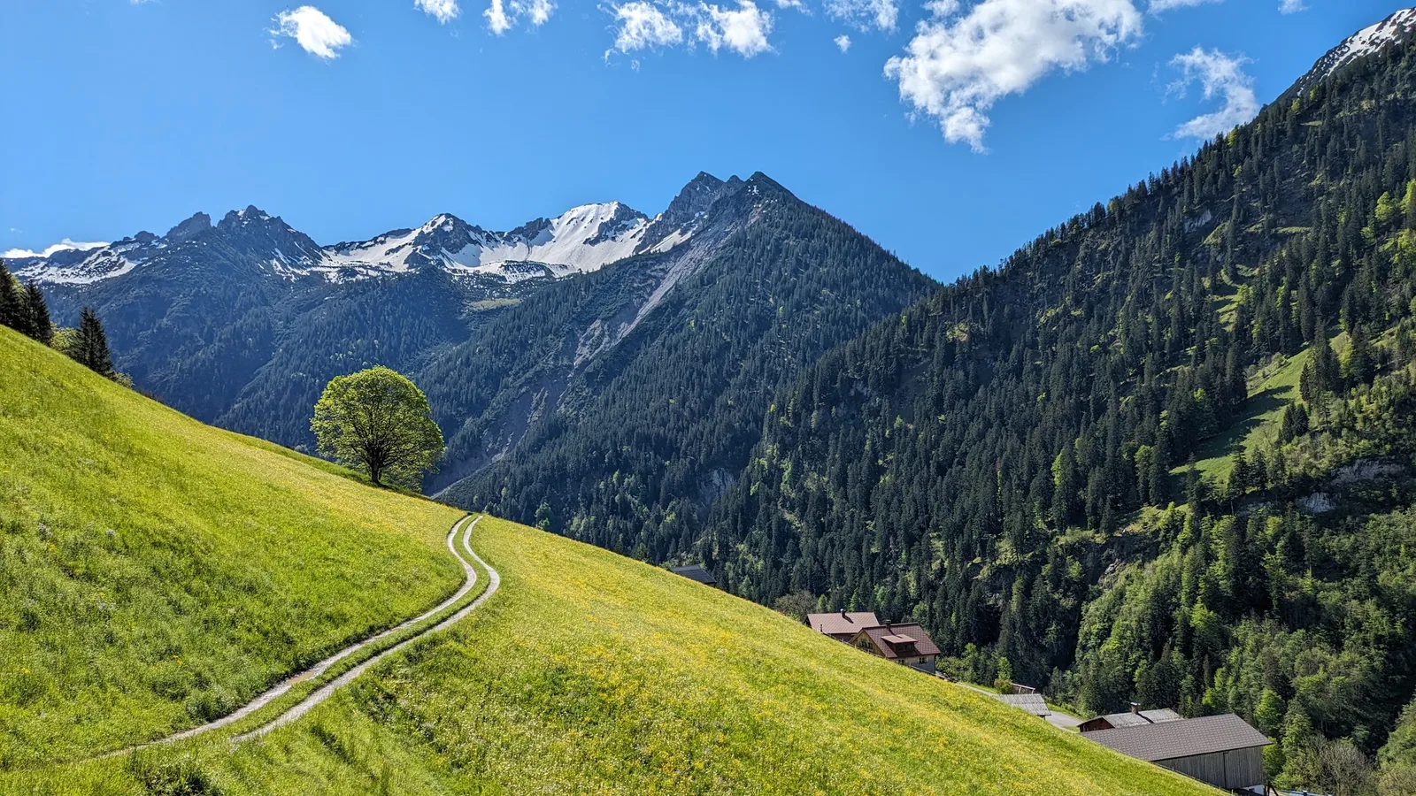 Berglandschaft rund um Marul im Großen Walsertal